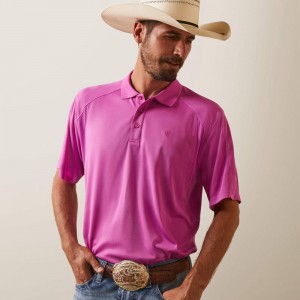 Ariat Ac Polo Dk Orchid Polska | YVCXED-148