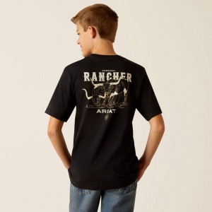 Ariat American Rancher T-Shirt Czarne Polska | VIZWOU-048