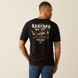 Ariat American Rancher T-Shirt Czarne Polska | WXMHLI-875