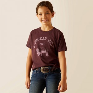 Ariat American West T-Shirt Wine Polska | ZWTKJU-908