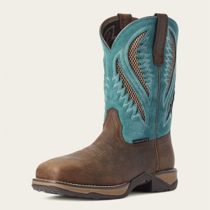 Ariat Anthem Venttek Composite Toe Work Boot Królewski Niebieski Czekolada Polska | LSXETK-590