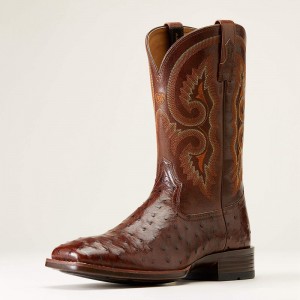 Ariat Barley Ultra Western Boot Ciemny Polska | FKQUTI-190