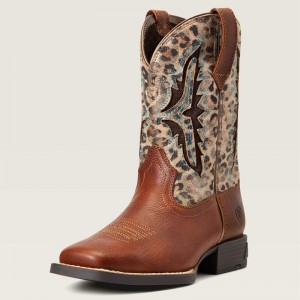 Ariat Bk Koel Venttek Western Boot Spiced Cider Polska | VSLHJR-648