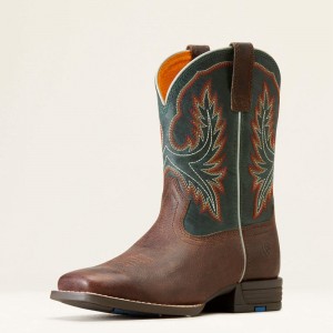 Ariat Bk Wilder Western Boot Brązowe Polska | EVYLIA-245