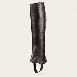 Ariat Breeze Chap Half Chap Czekolada Polska | OMUFAP-576