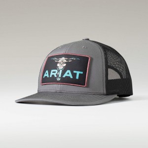 Ariat Bull Skull Cap Multi Polska | YXBDJR-435