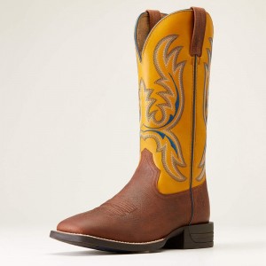 Ariat Bullhead Western Boot Brązowe Polska | ILTVDJ-802