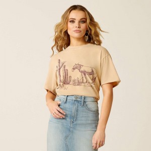 Ariat Burro T-Shirt Kremowe Niebieskie Polska | PFJXDL-347