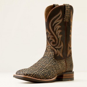 Ariat Cattle Call Cowboy Boot Czekolada Polska | RCAPXL-196