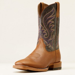 Ariat Cattle Call Cowboy Boot Fioletowe Polska | JWKCLR-791