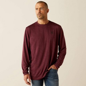 Ariat Charger Breakthru T-Shirt Malbec Heather Polska | NGBQIE-405