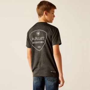 Ariat Charger Crestline T-Shirt Charcoal Polska | ENSMAJ-817