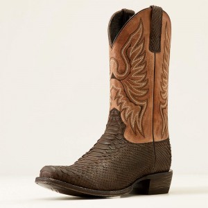 Ariat Circuit High Stepper Python Cowboy Boot Czekolada Polska | BHWKZP-619