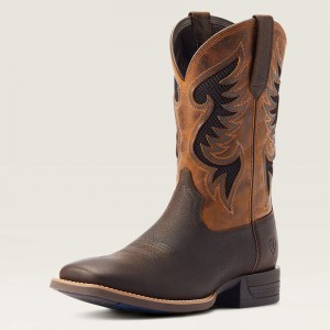 Ariat Cowpuncher Venttek Cowboy Boot Ciemny Brązowe Polska | KTADVS-845