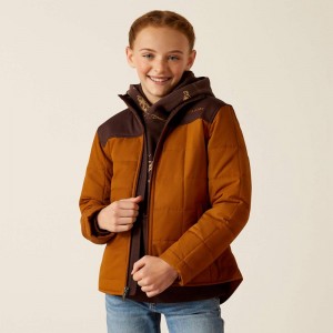 Ariat Crius Jacket Chestnut Horse/Chocolate Plum Polska | SNVGHQ-953