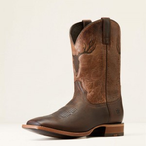 Ariat Crosshair Cowboy Boot Ciemny Polska | TVLJAC-961