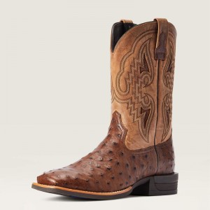 Ariat Dagger Western Boot Ciemny Polska | TDIRNU-324