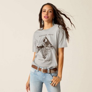 Ariat Day And Night T-Shirt Stone Heather Polska | ZVKCHQ-419