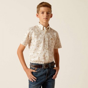 Ariat Edison Classic Fit Shirt Tan Polska | IGSMHZ-647