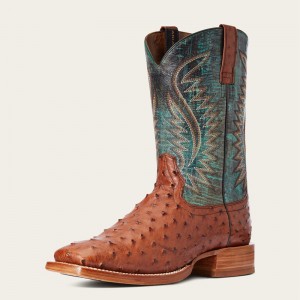 Ariat Gallup Western Boot Brandy Full Quill Ostrich Polska | SZPEHT-824