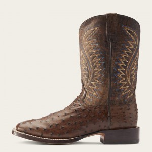 Ariat Gallup Western Boot Mocha Full Quill Ostrich Polska | STMQUJ-725