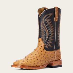 Ariat Gallup Western Boot Tan Full Quill Ostrich Polska | YVXNQJ-793