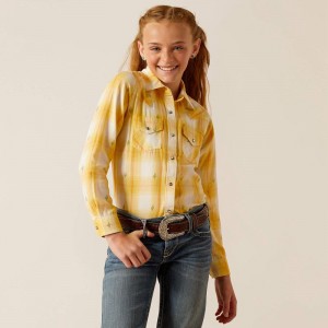 Ariat Glenrock Shirt Cactus Dobby Polska | DXAZKV-812