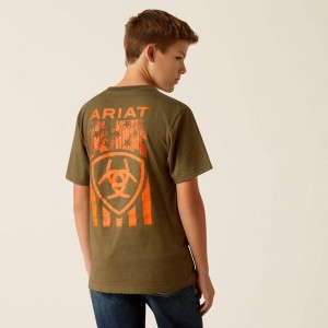 Ariat Grain Flag T-Shirt Military Heather Polska | WFASBV-937