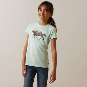 Ariat Harmony T-Shirt Aqua Foam Polska | ELJHSR-467