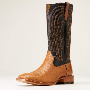 Ariat Haywire Cowboy Boot Antique Tan Smooth Quill Ostri Polska | PAXBGL-203