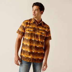 Ariat Heath Retro Fit Shirt Mink Polska | TMEOQD-825