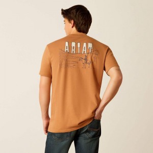 Ariat Horizon Oasis T-Shirt Chipmunk Polska | YMBCUO-278