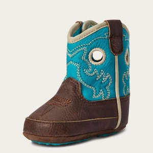 Ariat Lk Lil' Stompers Boston Boot Turkusowe Polska | HYIRJQ-785