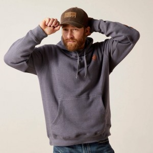 Ariat Logo Hoodie Odyssey Gray Heather Polska | DOYVIK-231