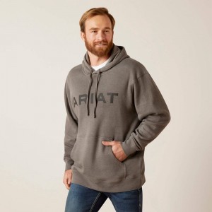 Ariat Logo Hoodie Szare Polska | HIOUSD-674