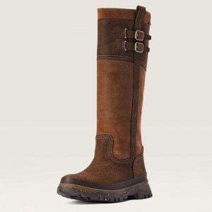 Ariat Moresby Tall Waterproof Java Polska | BLENYS-432