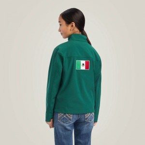 Ariat New Team Softshell Mexico Jacket Verde Polska | ZSQMPF-287