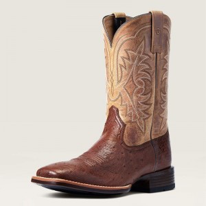 Ariat Night Life Ultra Western Boot Antique Tabac Sq Ostrich Polska | VXCNHF-432