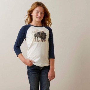 Ariat Painted Buffalo Tee Coconut Milk/Navy Eclipse Polska | ARUTNB-287