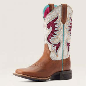 Ariat Pinto Venttek™ 360° Western Boot Ciemny Polska | DJCRBL-142