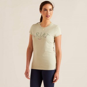 Ariat Posey T-Shirt Zielone Polska | BDWASY-562