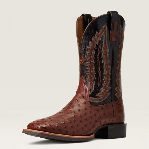 Ariat Quantum Primo Western Boot Antique Tabac Fq Ostrich Polska | SXVFLY-620