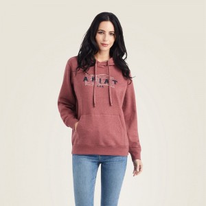 Ariat Real Usa Chest Logo Hoodie Sun-Dried Tomato Heather Polska | RWEQCN-671