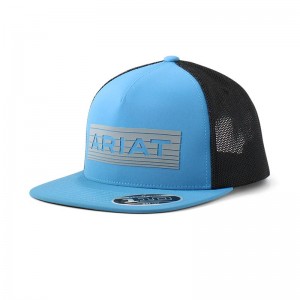 Ariat Reflective Logo Cap Niebieskie Polska | ACYNRZ-917