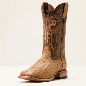 Ariat Rio Cowboy Boot Honey Tan Full Quill Ostrich/Chestnut Br Polska | PMKQCH-165