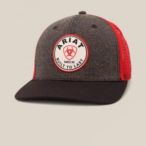 Ariat Round Logo Patch Cap Gray Polska | WTXUMP-280