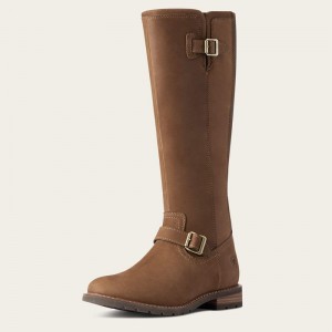 Ariat Sadie Waterproof Boot Ciemny Polska | BJMSDR-349