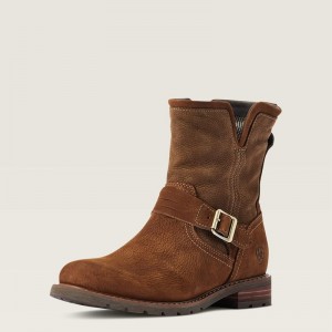 Ariat Savannah Waterproof Boot Roasted Toffee Polska | ZLEHVR-052