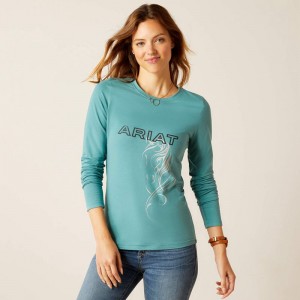 Ariat Silhouette T-Shirt Arctic Polska | CQAUGN-380