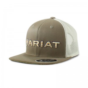 Ariat Southwest Embroidered Logo Cap Zielone Polska | SJGLQR-183